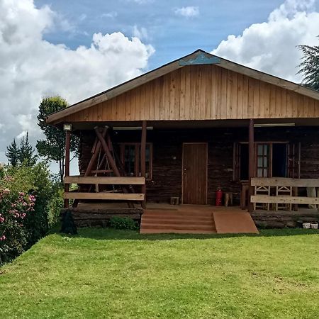 Appartamento The Wonky House Timau Esterno foto