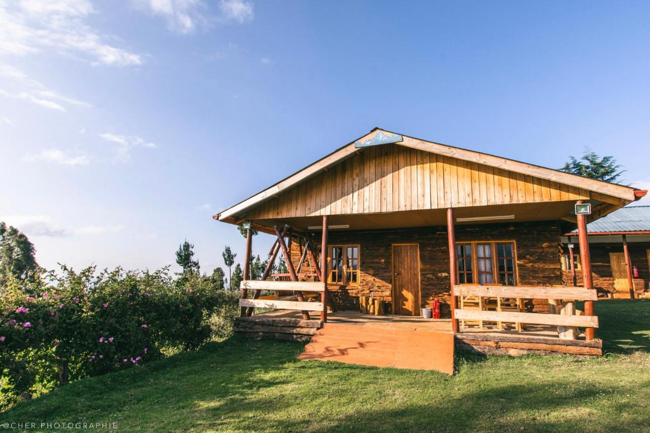 Appartamento The Wonky House Timau Esterno foto